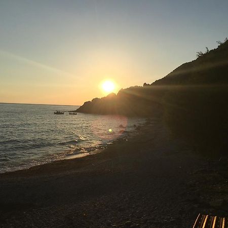 Ψαρός Μελίντα Ξενοδοχείο Πλωμάρι Εξωτερικό φωτογραφία